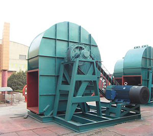 防腐向日葵黄色网站